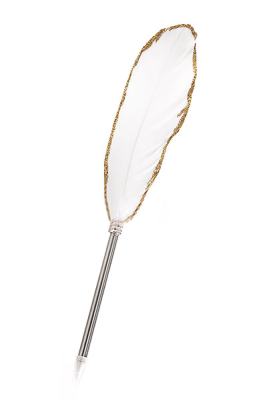 Crayon avec plume - R403