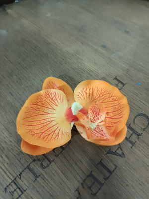 Bouton orchidée orange
