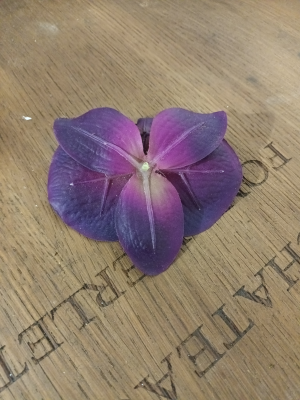 Bouton orchidée violet