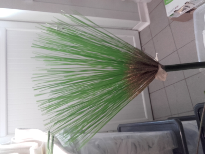 Brosse en herbe