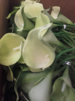 Calla verte