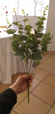 Eucalyptus bouquet