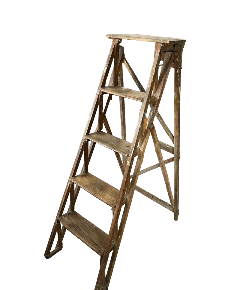 Echelle de peintre "Apolline"