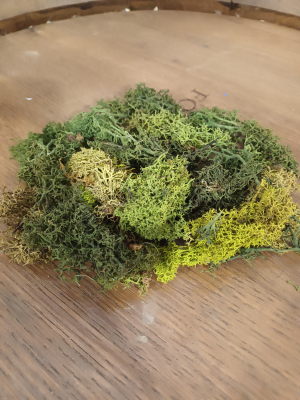 Mousse verte artificielle