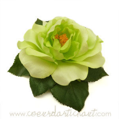 Rose verte