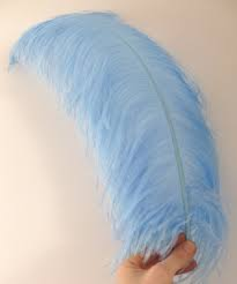 Plume autruche bleu ciel 30cm