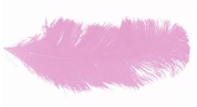 Plume autruche rose 35cm