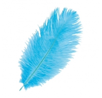 Plume autruche turquoise 30cm