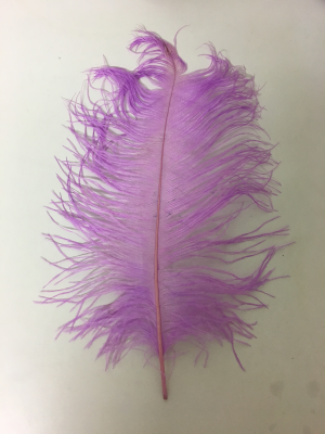 Plume d'autruche parme 40 cm