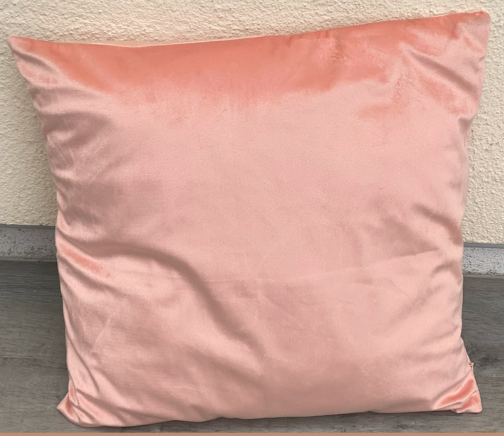 Coussin Rose Poudré en velours