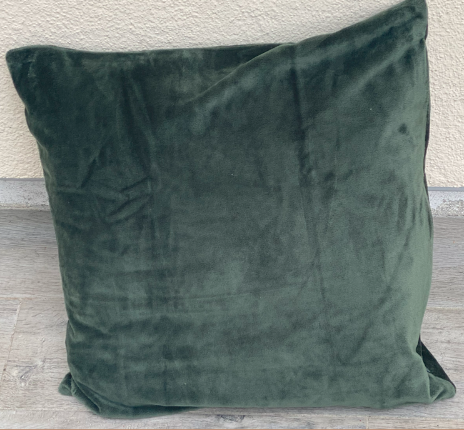 Coussin Vert en velours