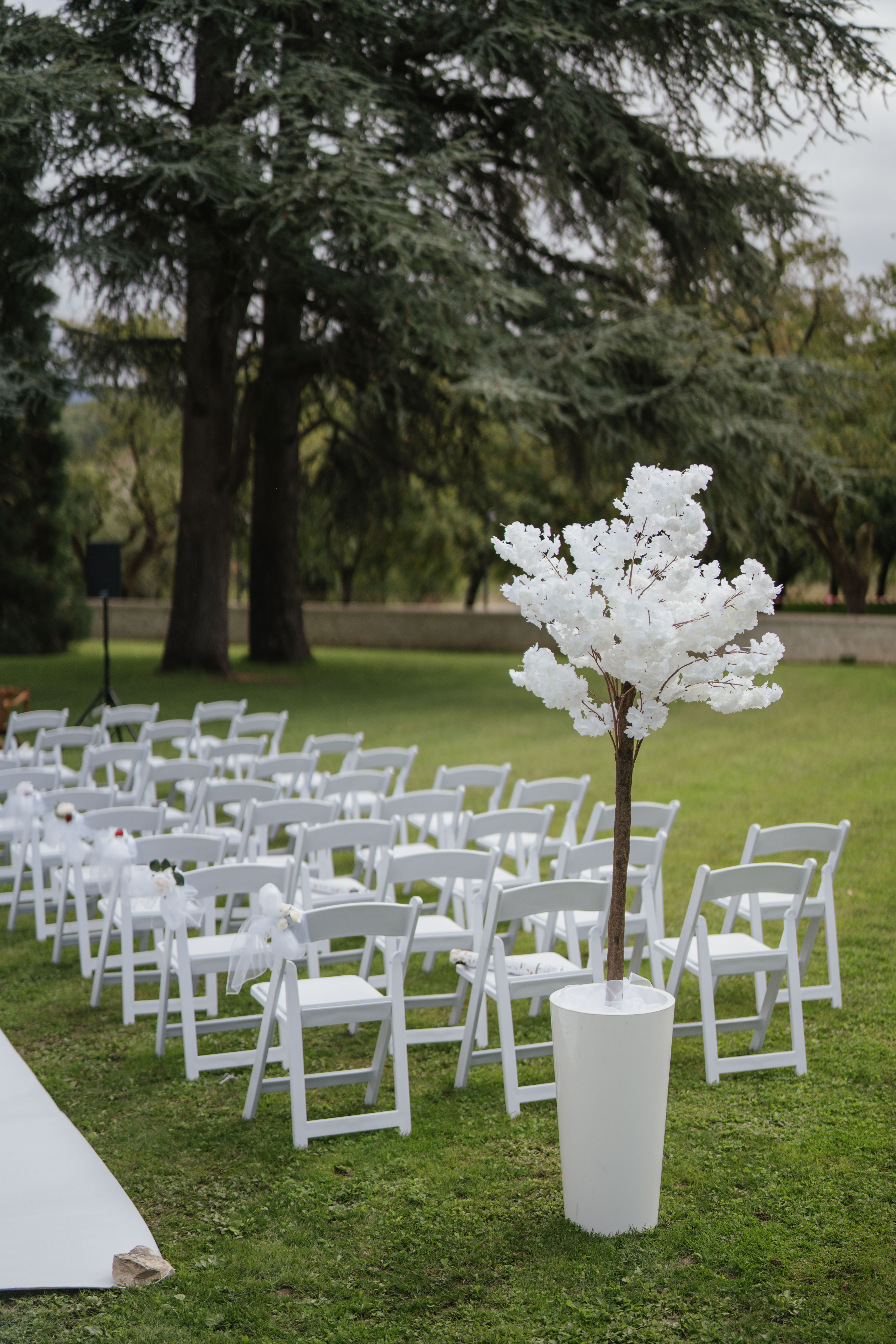 Chaise Wedding