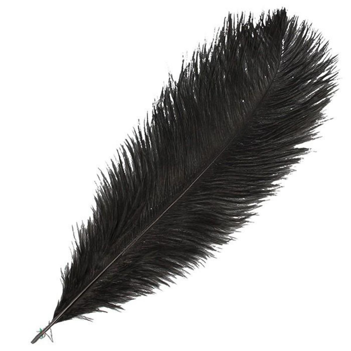 Plumes noires 9cm