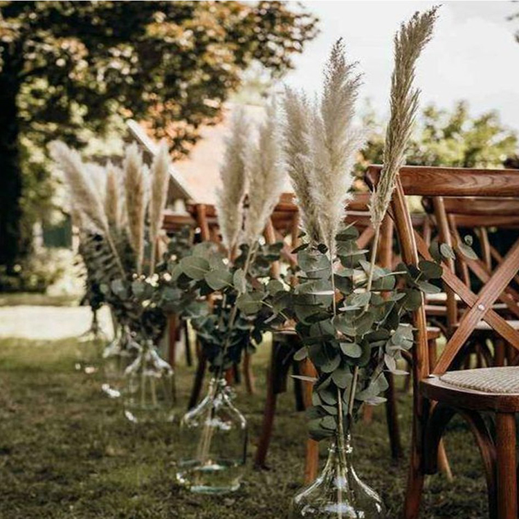 dame jeanne - grande