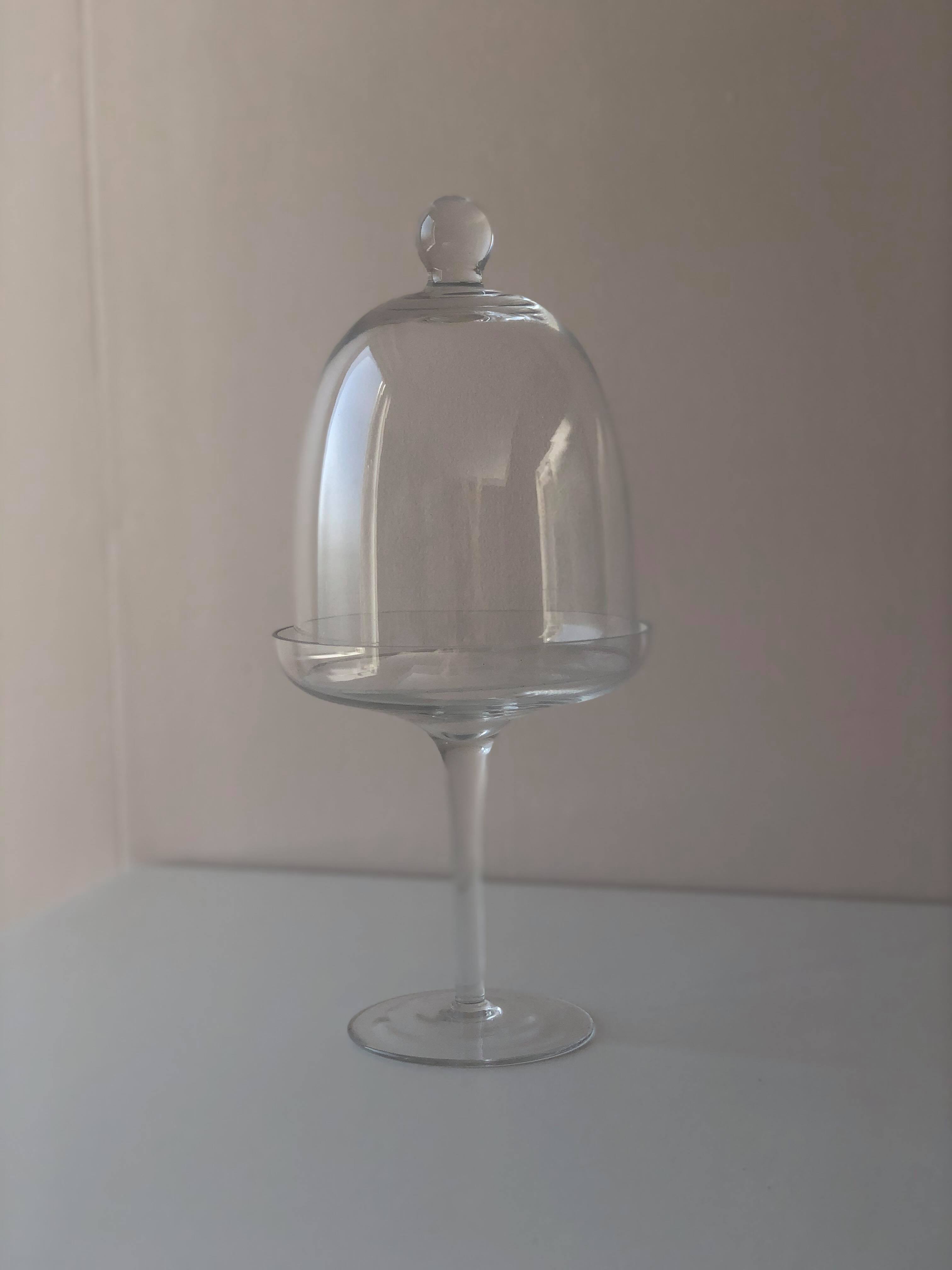 présentoir sous cloche