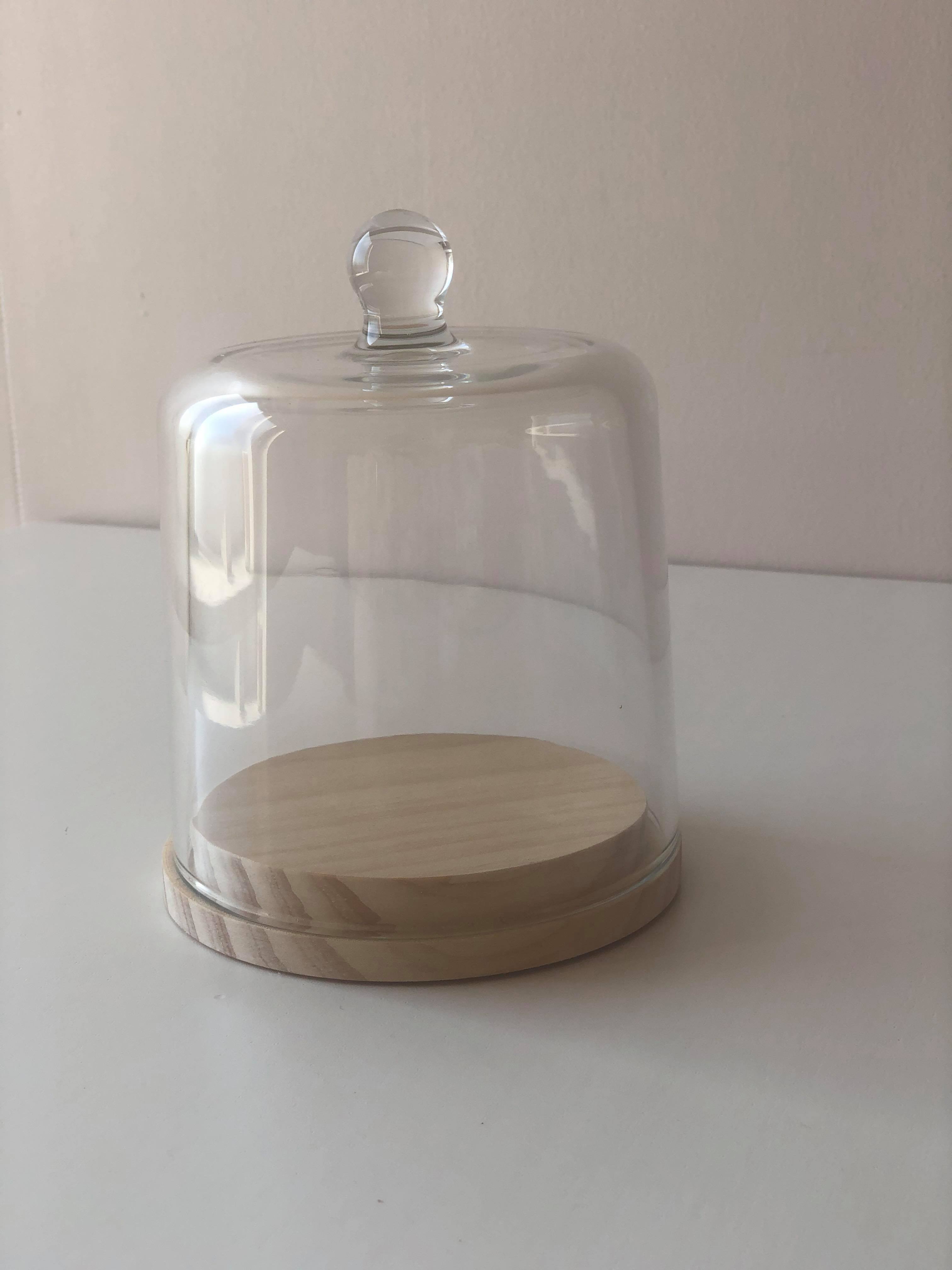 présentoir sous cloche