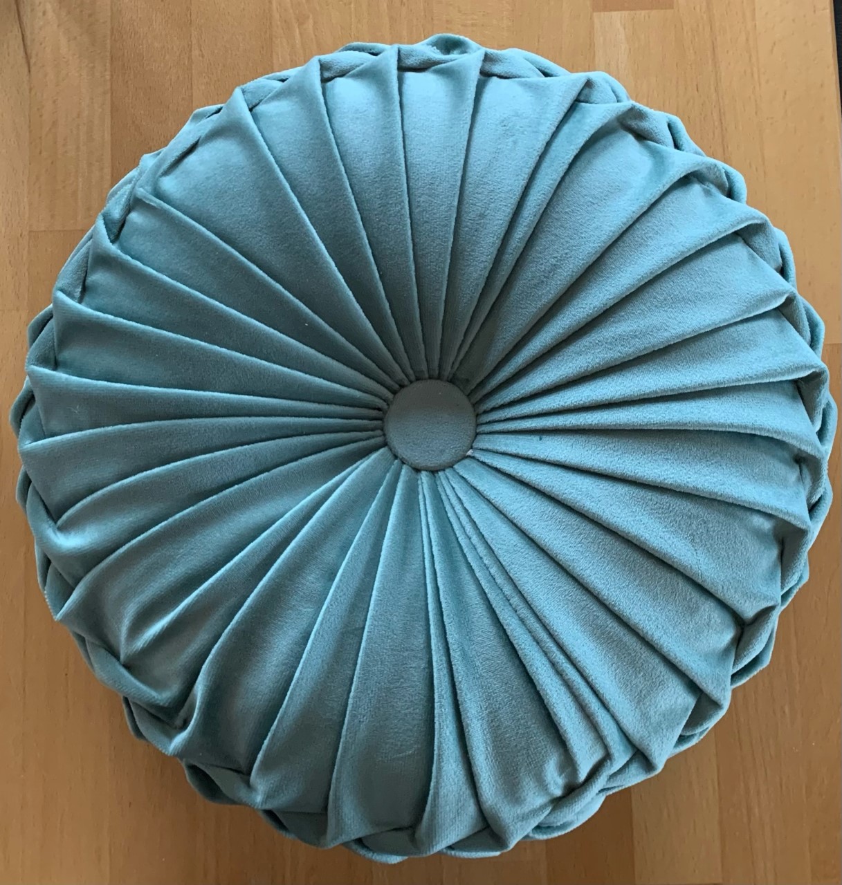 Coussins bleu canard