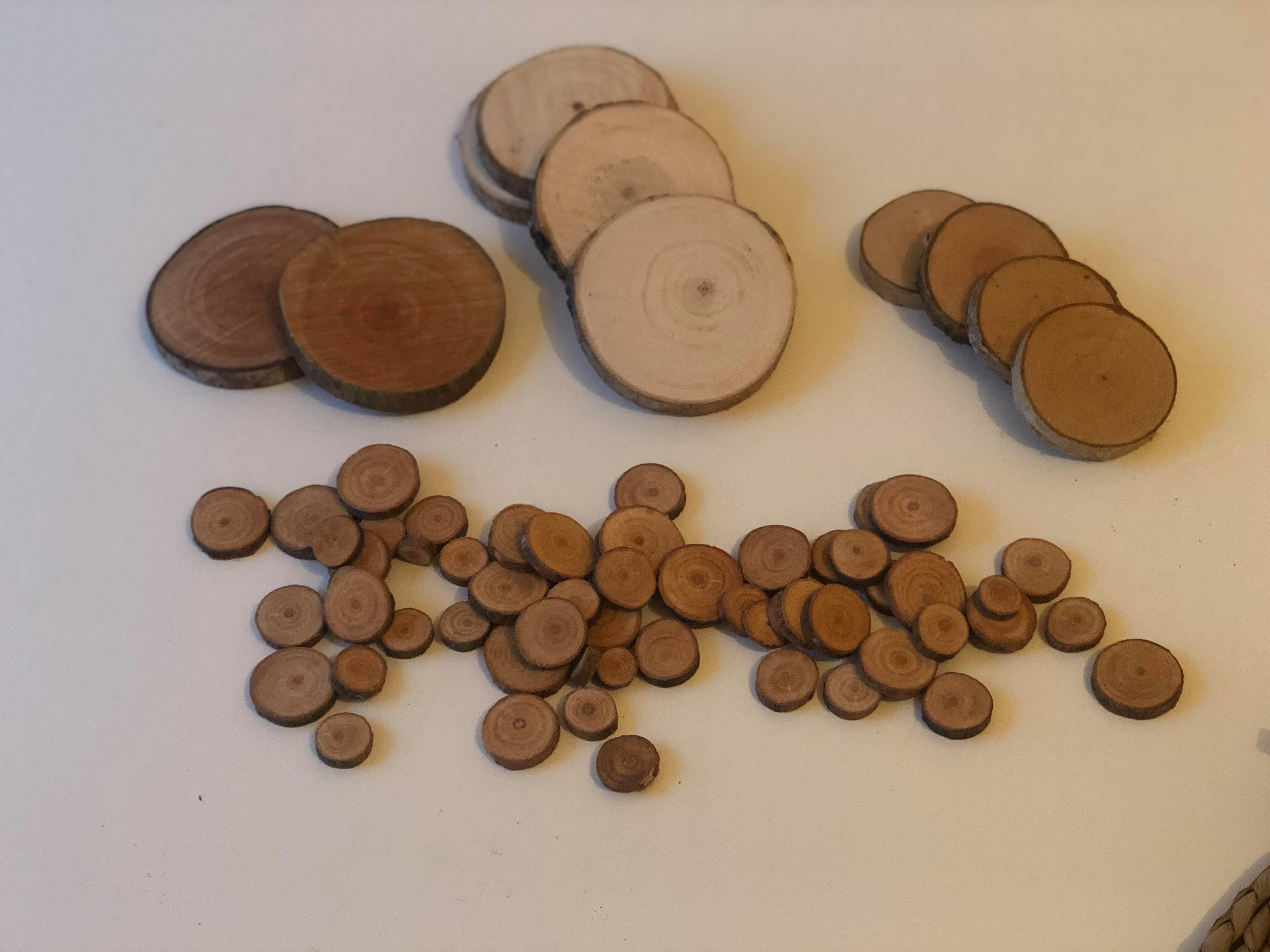 RONDINS PETITS ET MINI