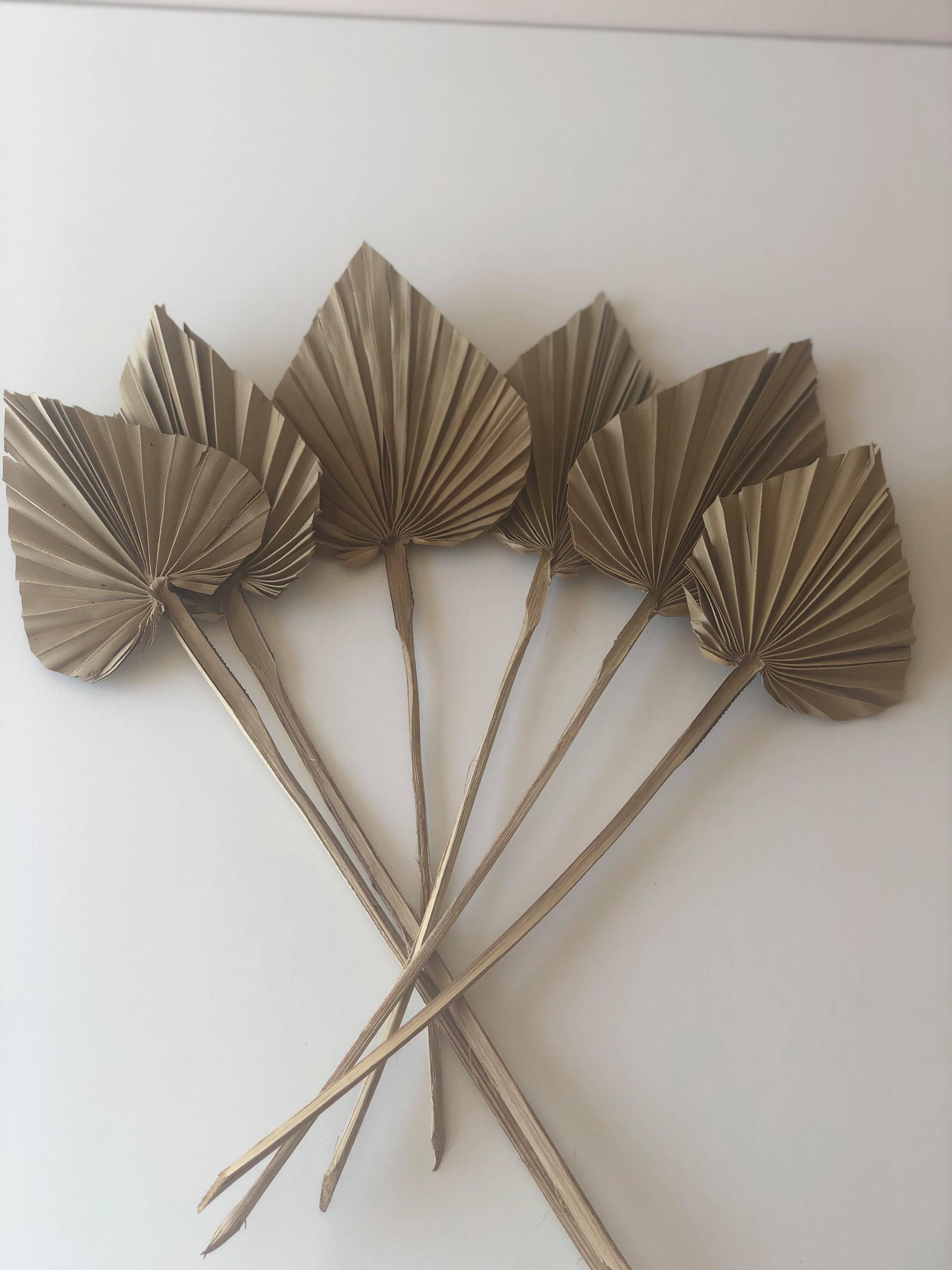 FEUILLE DE PALMIER PETIT FORMAT