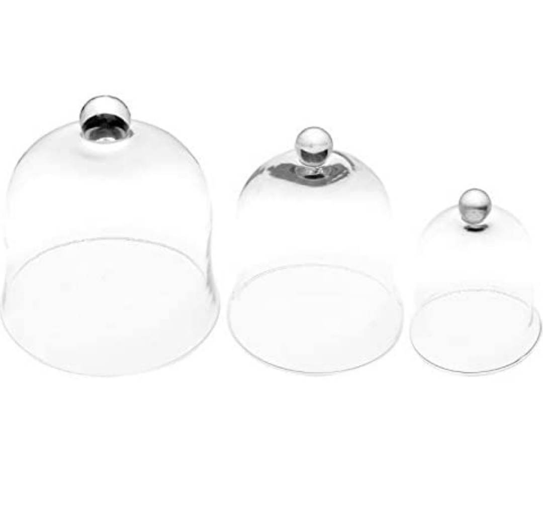Cloches en verre moyen format