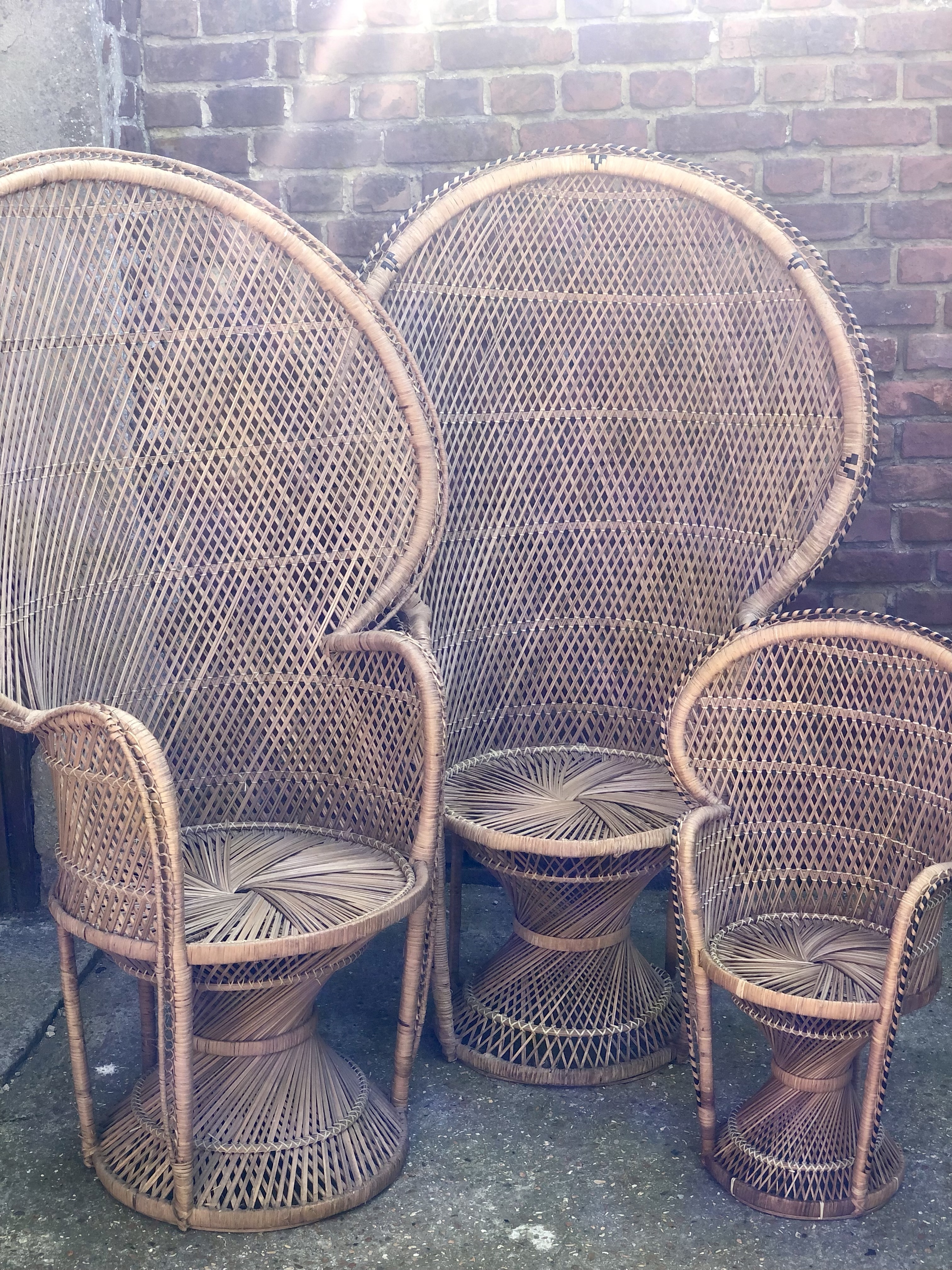 Fauteuil Emmanuelle Adulte