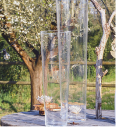Vase Haut transparent moyen format