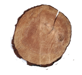 Rondin de bois grand format