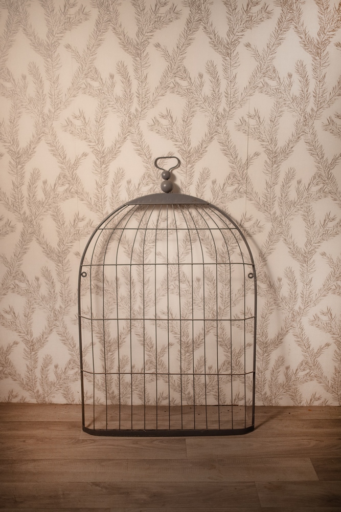 Porte photo cage oiseau