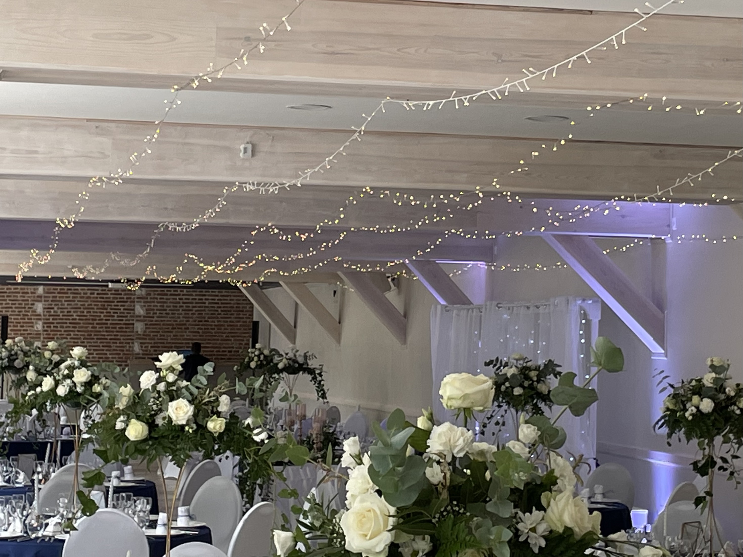 Guirlande Lumineuse led Blanche