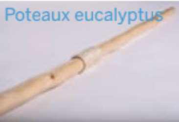 Poteau 3m - Eucalyptus.