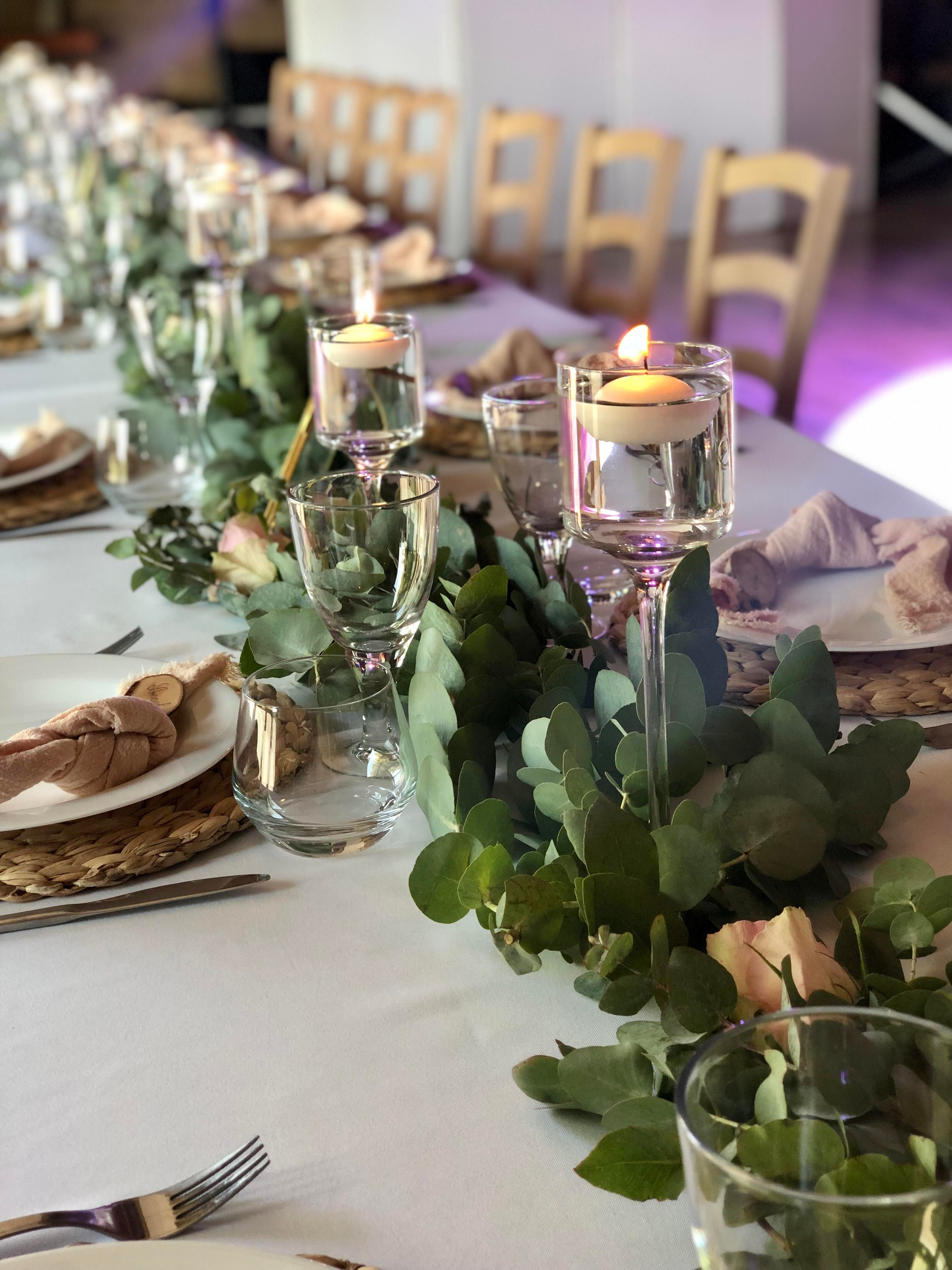 Le trio photophores Maël