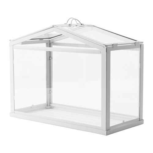 urne - serre blanche