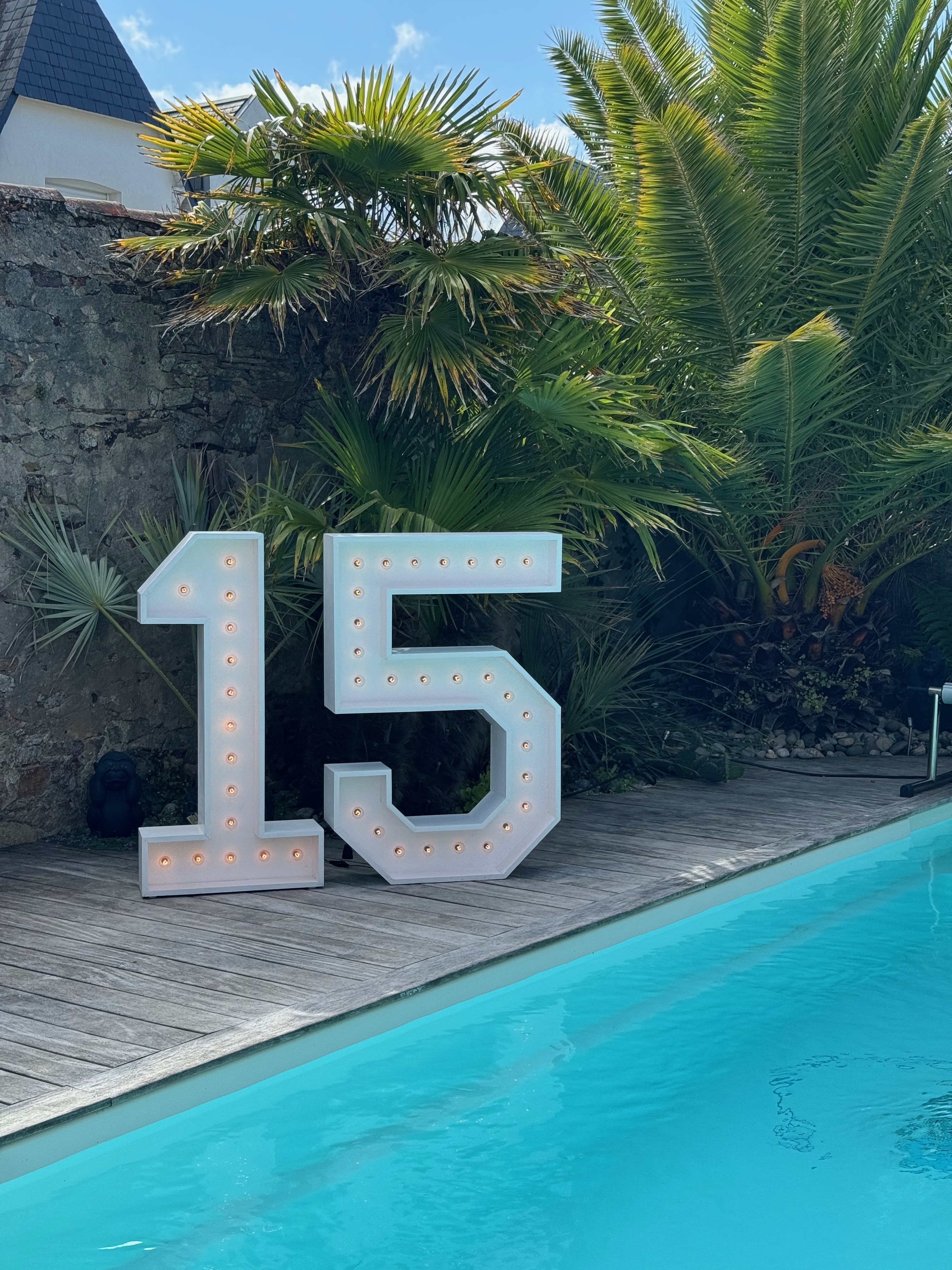 Chiffre Géant Lumineux Violette - 5