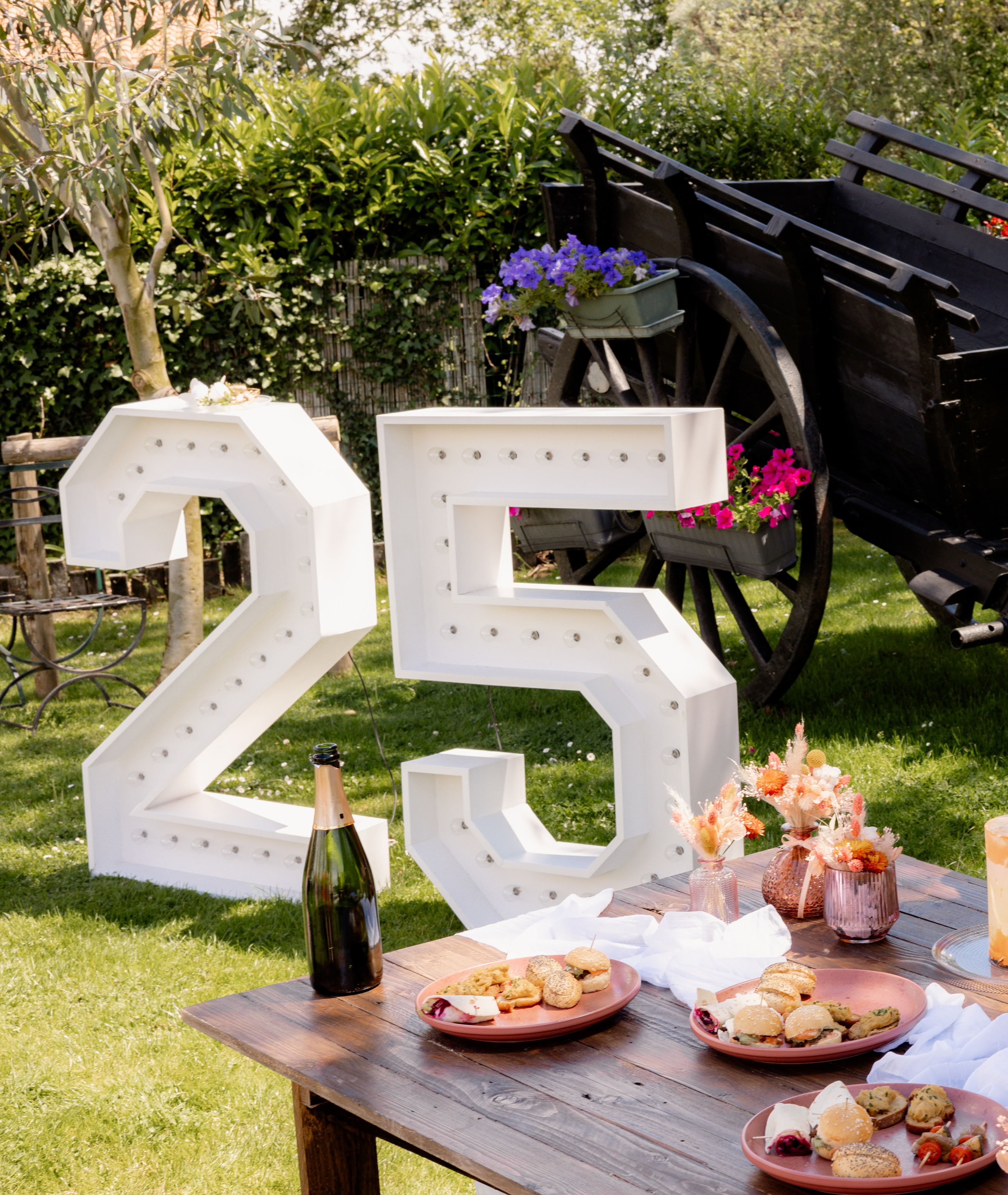 Chiffre Géant Lumineux Violette - 2