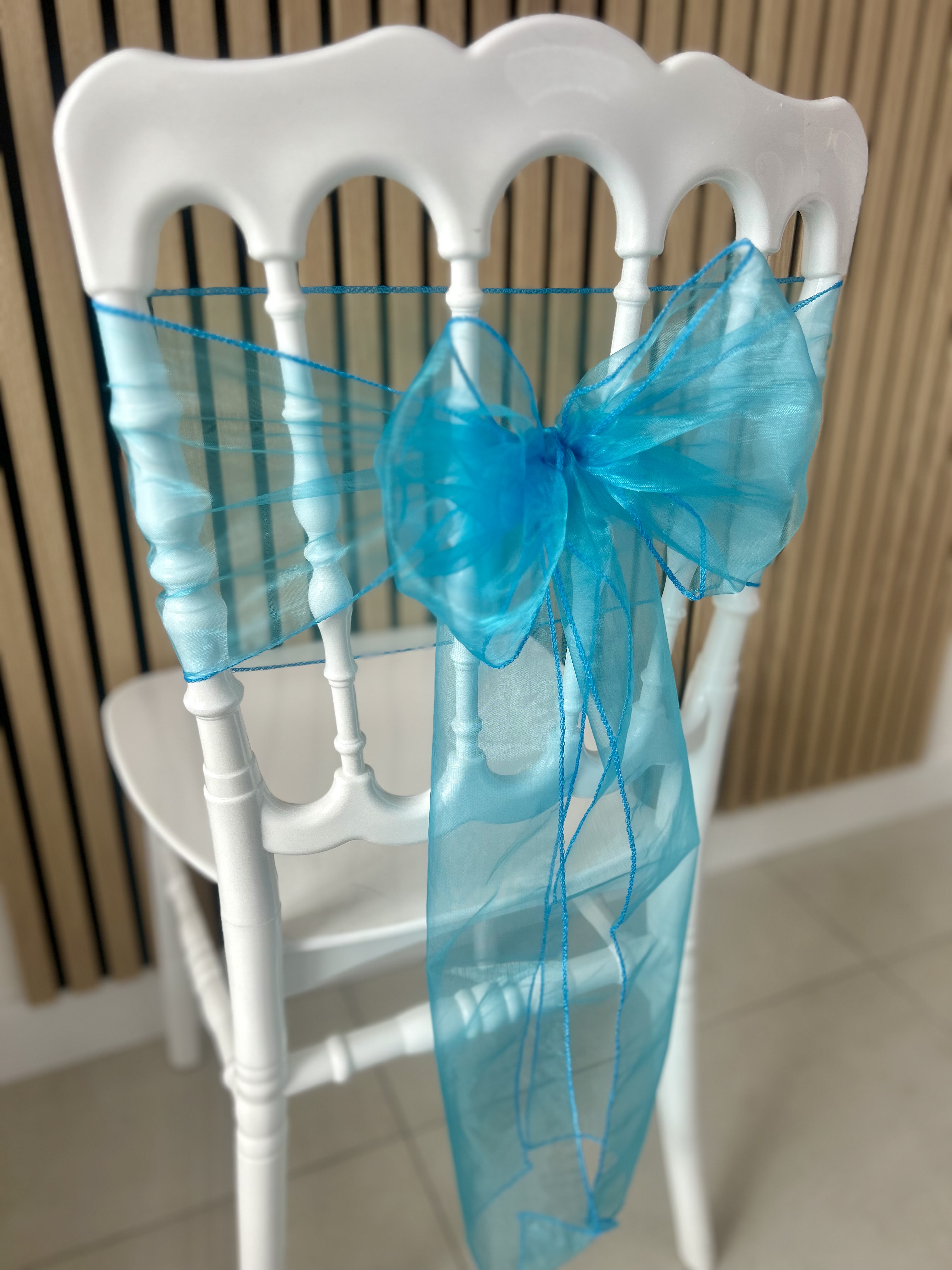 NDC bleu lagon organza