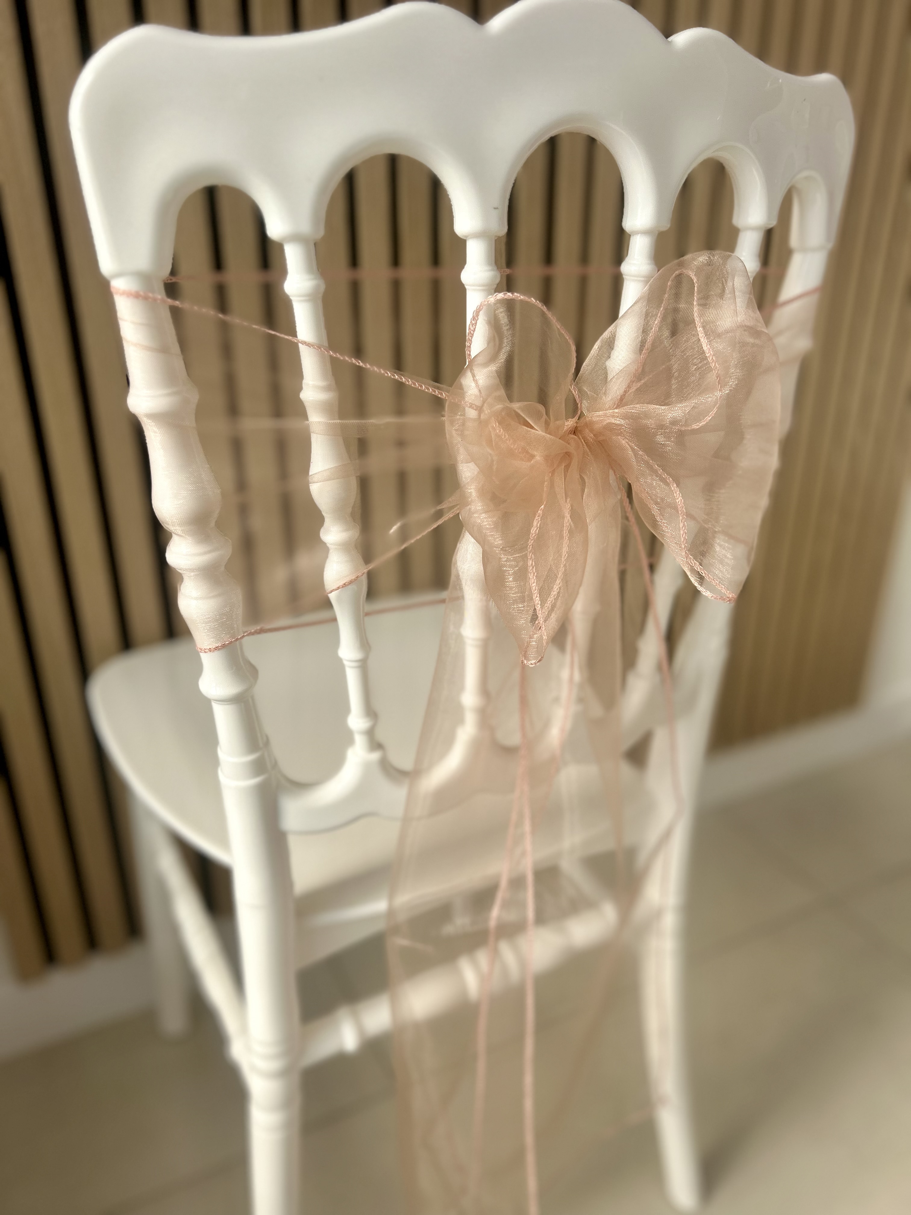 NDC vieux rose organza