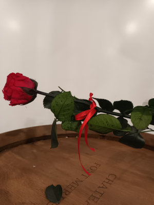 Rose et Ruban pour alliances